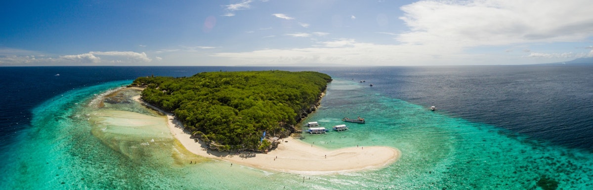 Oslob Whale Shark Watching Private Tour with Sightseeing & Transfers ...