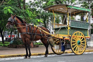 A kalesa, or a horse-drawn carriage, in Manila
