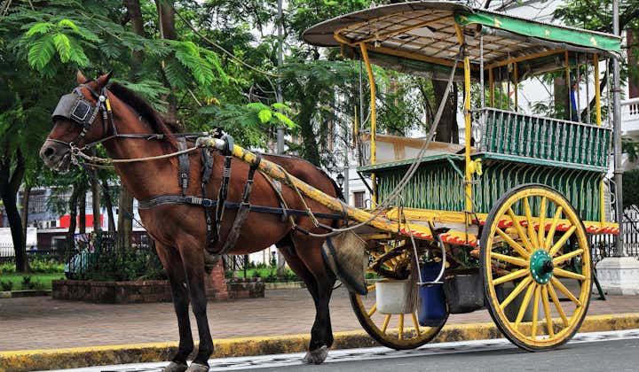 A kalesa, or a horse-drawn carriage, in Manila