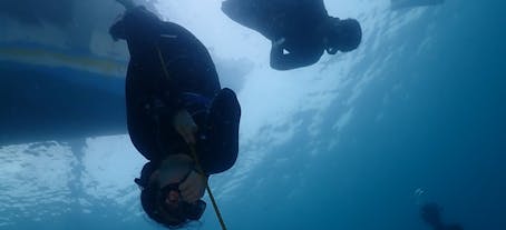 Freediving in Obo-ob Reef in Bantayan Cebu