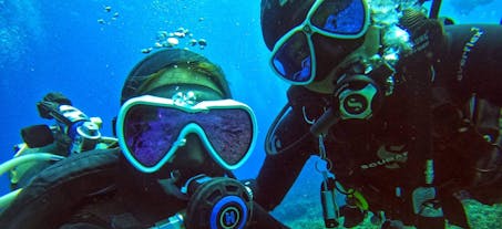 Fun Dive in Bantayan Island, Cebu