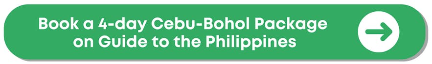 10 Best Bohol Packages to Book: Top Tours, Budget, Resorts, Diving