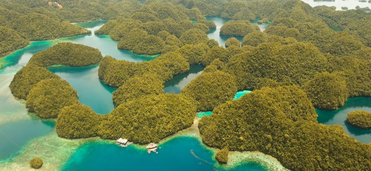 Siargao Island Sohoton Bucas Grande Island, Jellyfish Sanctuary ...