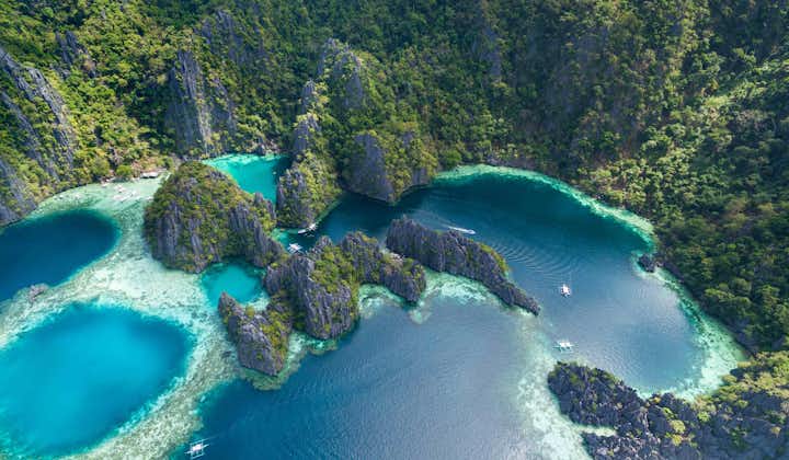 10-Day Thrilling Islands, Turtles, Dolphins & Whale Sharks Tour to Bohol, Cebu & Coron Palawan