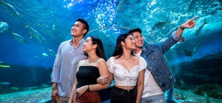Manila Ocean Park All-Day Pass with Access to 8 Attractions