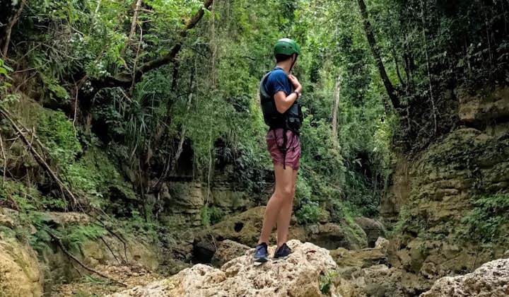 Cebu Alegria Falls Canyoneering Tour with Lunch, Transfers & Optional Oslob & Tumalog Falls Tour