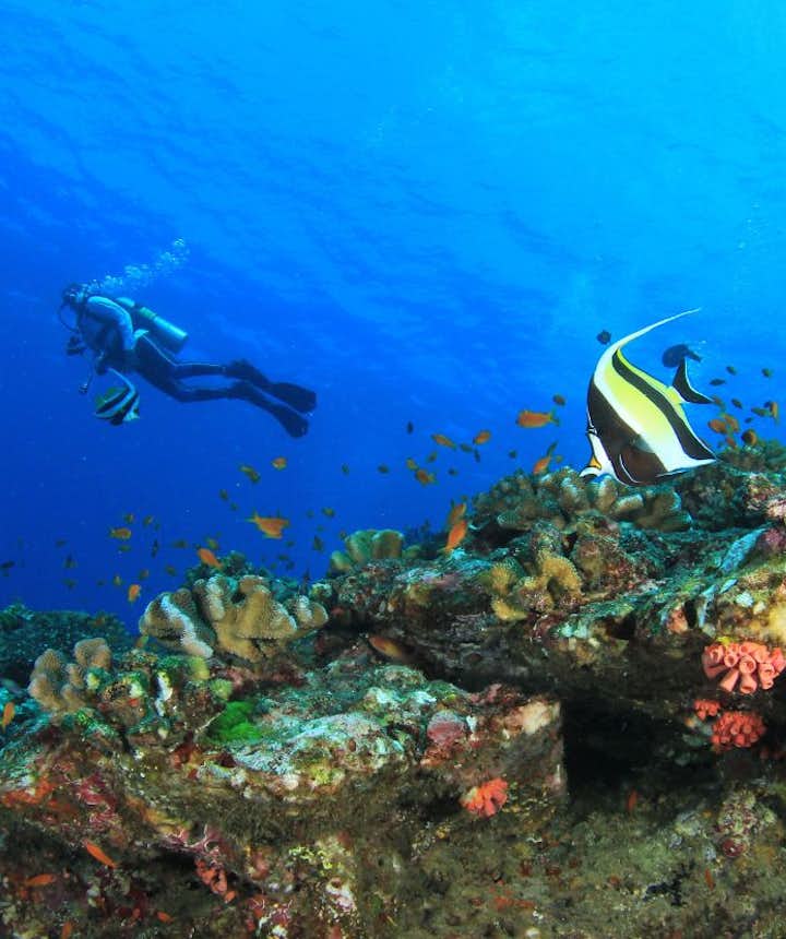 Scuba diving philippines