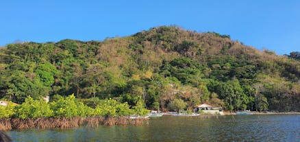 Papaya Island