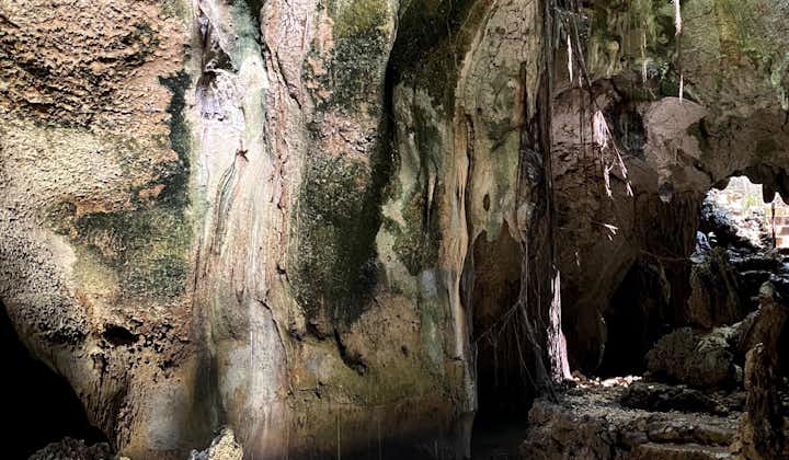 Tudela Cebu Private Day Tour with Lunch| Busay Falls, Bukilat Cave, Katunggan Nature Trip