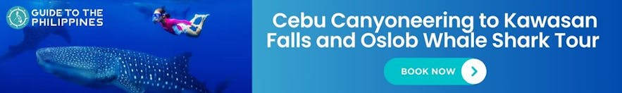 Cebu Canyoneering to Kawasan Falls, Oslob Whale Shark Tour & Tumalog Falls | Meals & Hotel Transfers