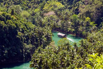 Best Bohol Itinerary Guide: How Many Days, Tourist Spots, Top Tours, Where to Go