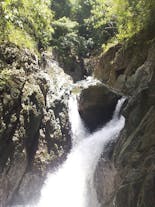 Dipolog Nature Adventure Tour with Lunch & Transfers | Sunkilaw Falls & Cogon Eco Tourism Park