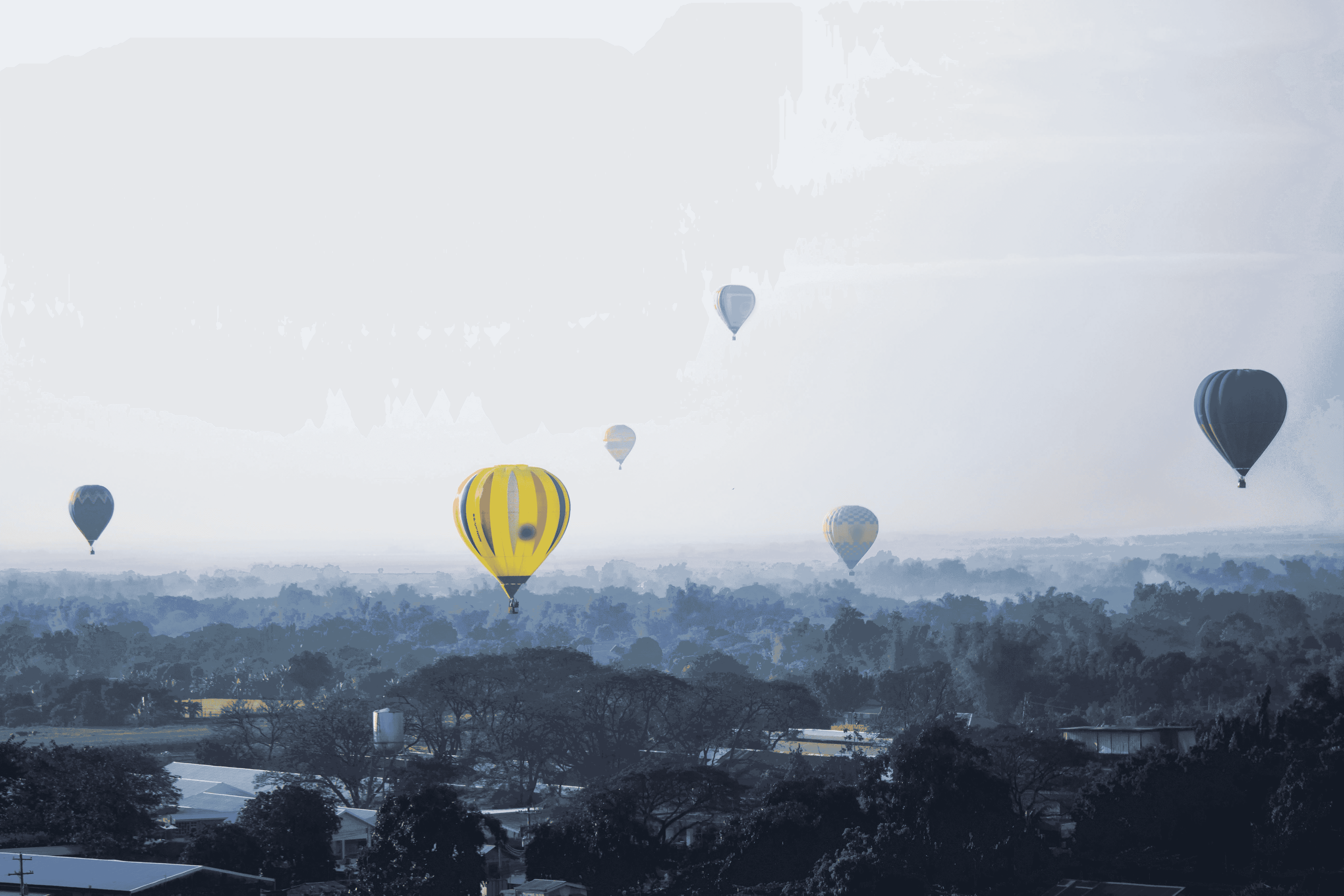 Philippine International Hot Air Balloon Festival 2024 When Where   Philippine International Hot Air Balloon Festival 2024 When Where Ticket Price Activities 4