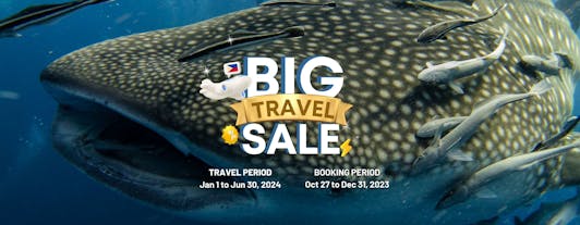 8-Day Cebu City, Moalboal & Oslob Whale Sharks Philippines Adventure Itinerary Tour from Manila