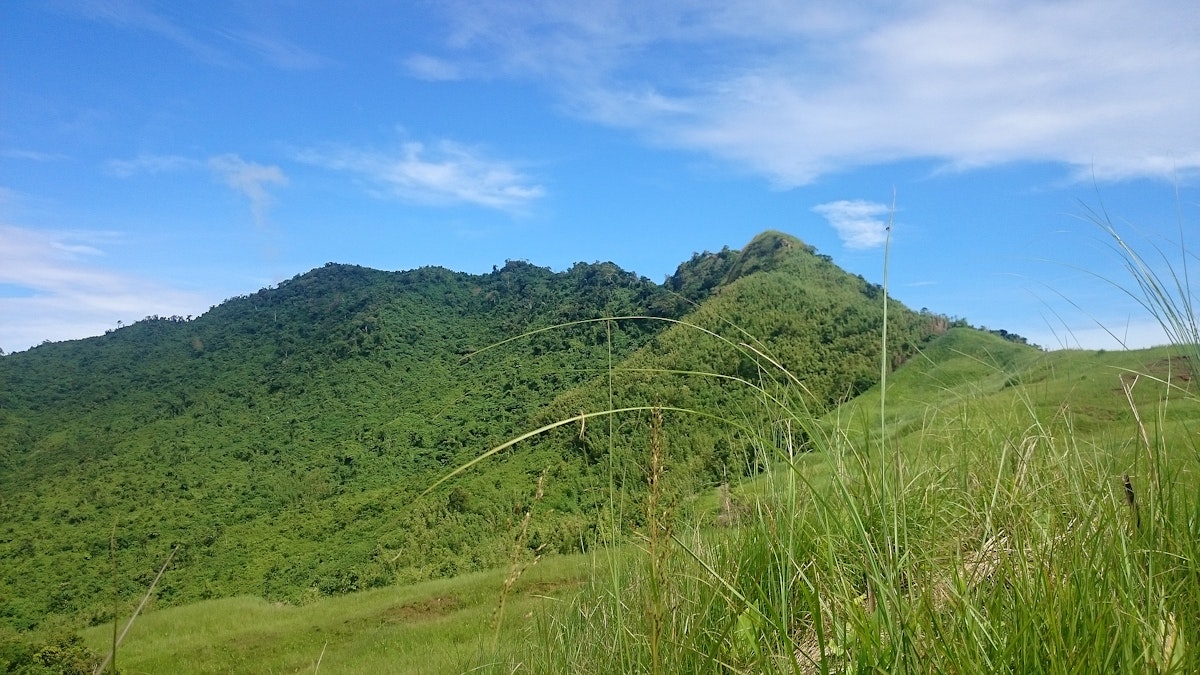 Mt. Batolusong Rizal Day Hike With Transfers From Manila 