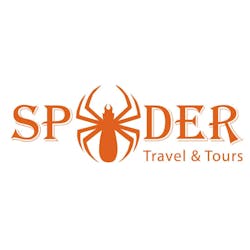 Spider Travel and Tours logo