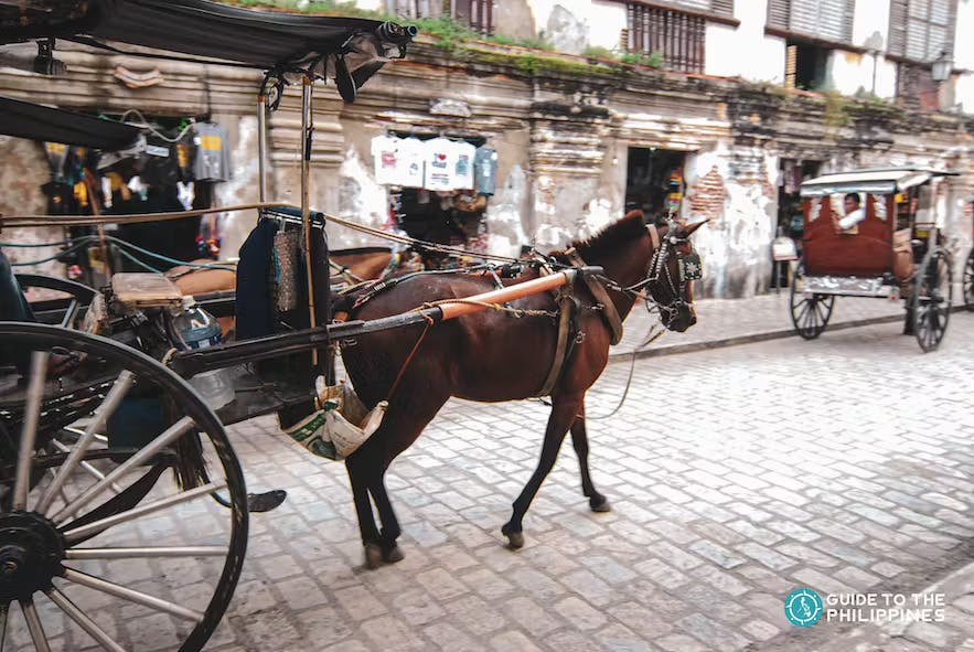 Kalesa (horse-drawn carriage) in Vigan