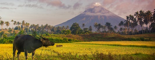 Incredible 1-Week Nature Sightseeing Tour to Albay & Sorsogon in Bicol Package from Manila