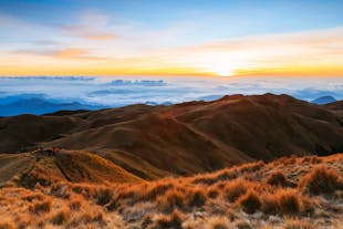 2-Day Hiking Adventure Tour to Mount Pulag via Ambangeg Trail with Homestay Accommodations & Meals