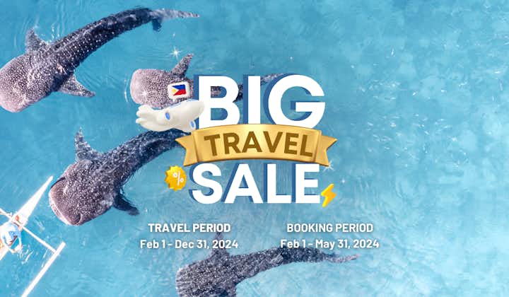 Exciting 10-Day Islands, Whale Shark & Nature Tour to Boracay, Cebu, Puerto Princesa & El Nido