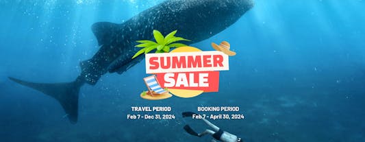 South Cebu Whale Shark Watching, Sardine Run & Sumilon Island Private Tour with Transfers