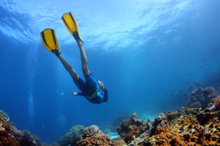 diving in Panglao