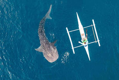 Exciting 12-Day Waterfalls & Whale Shark Tour Package to Laguna Cebu, Bohol & Siquijor with Airfare - day 6