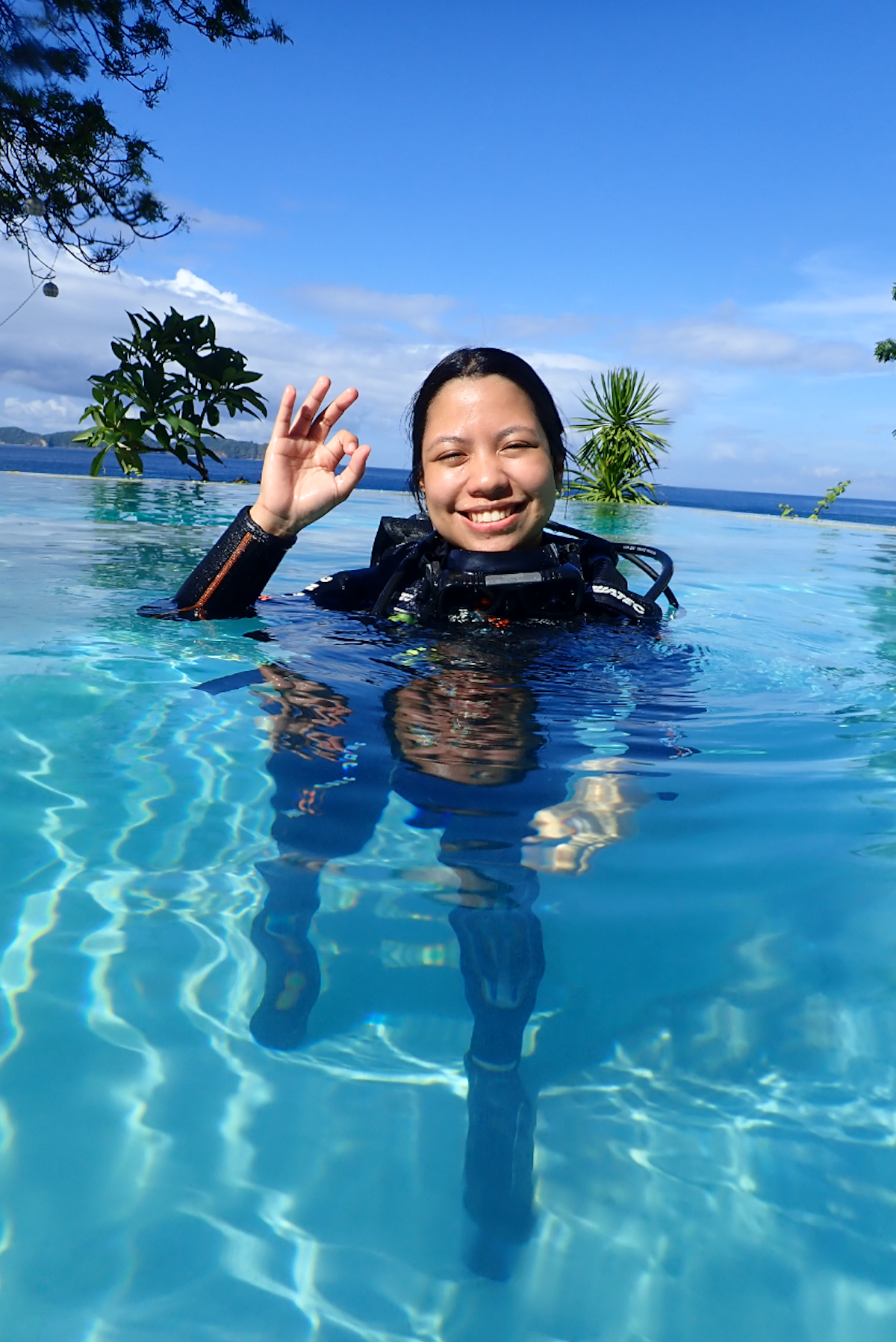 Introductory Dive in Anilao Batangas with Complete Gear & Divemaster ...