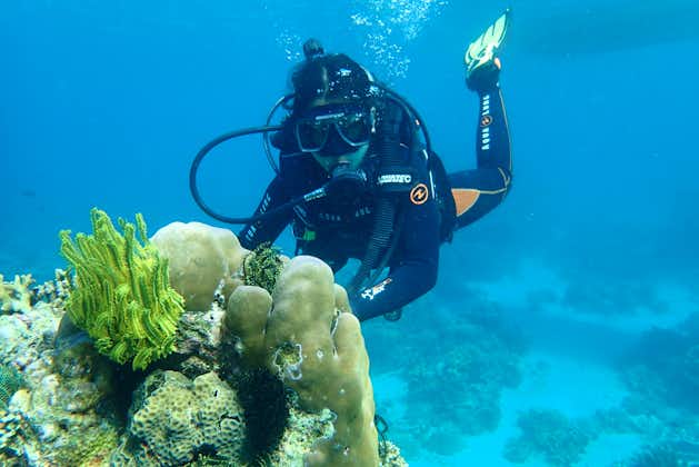 Introductory Dive in Anilao Batangas with Complete Gear & Divemaster Assistance