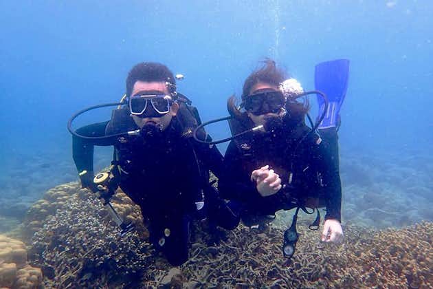 Anilao Batangas Dive Package with Gear & Divemaster Assistance | 2 Dive Sites