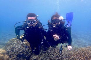 Anilao Batangas Dive Package with Gear & Divemaster Assistance | 2 Dive Sites