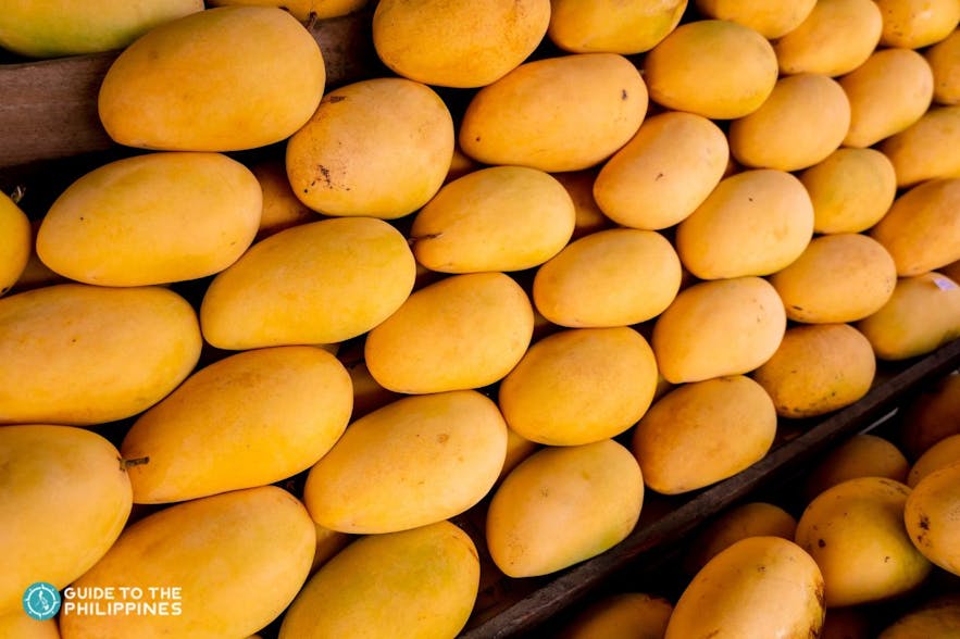 Manggahan Festival in Guimaras mangoes