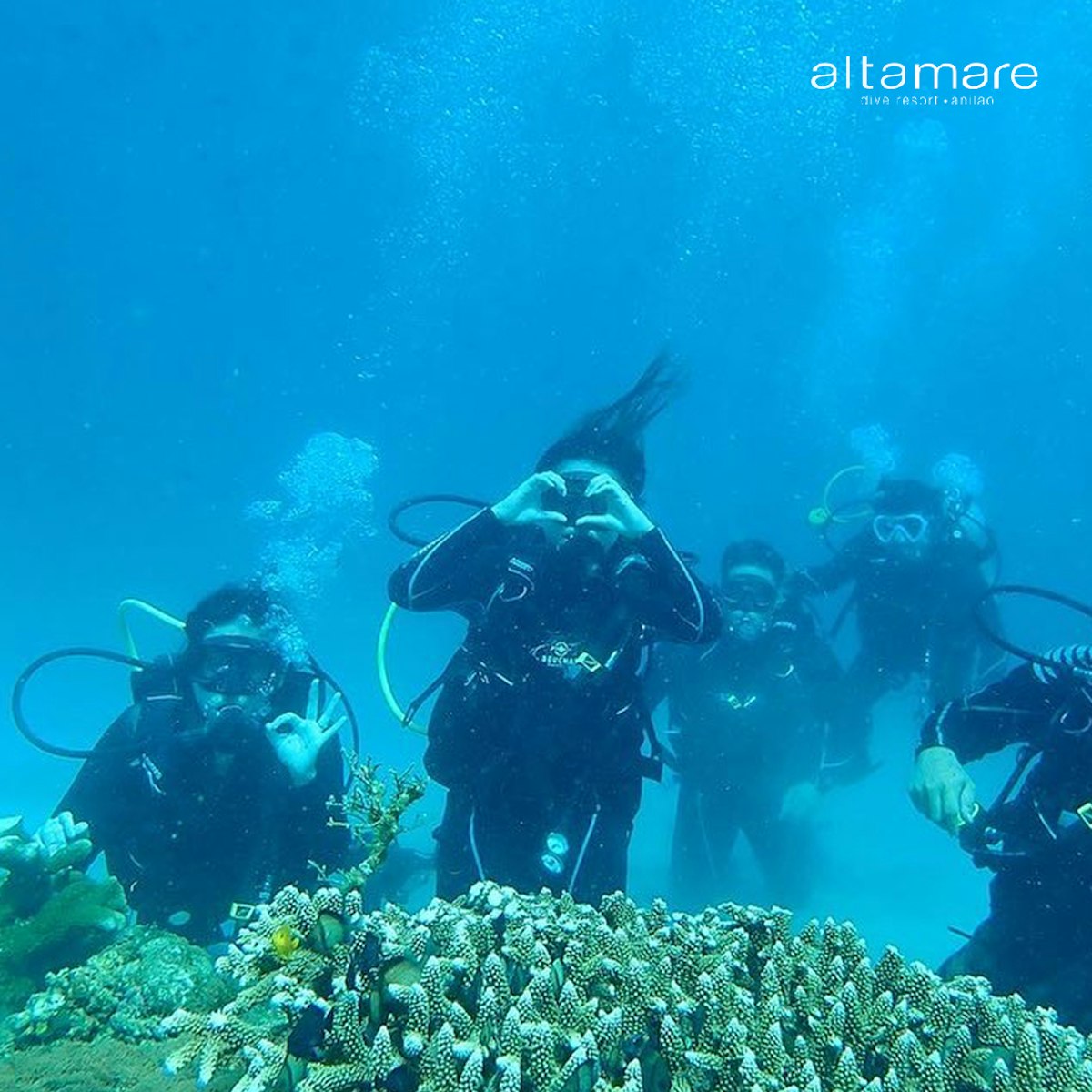 2-day Exciting Scuba Diving Package To Anilao Batangas With Altamare 