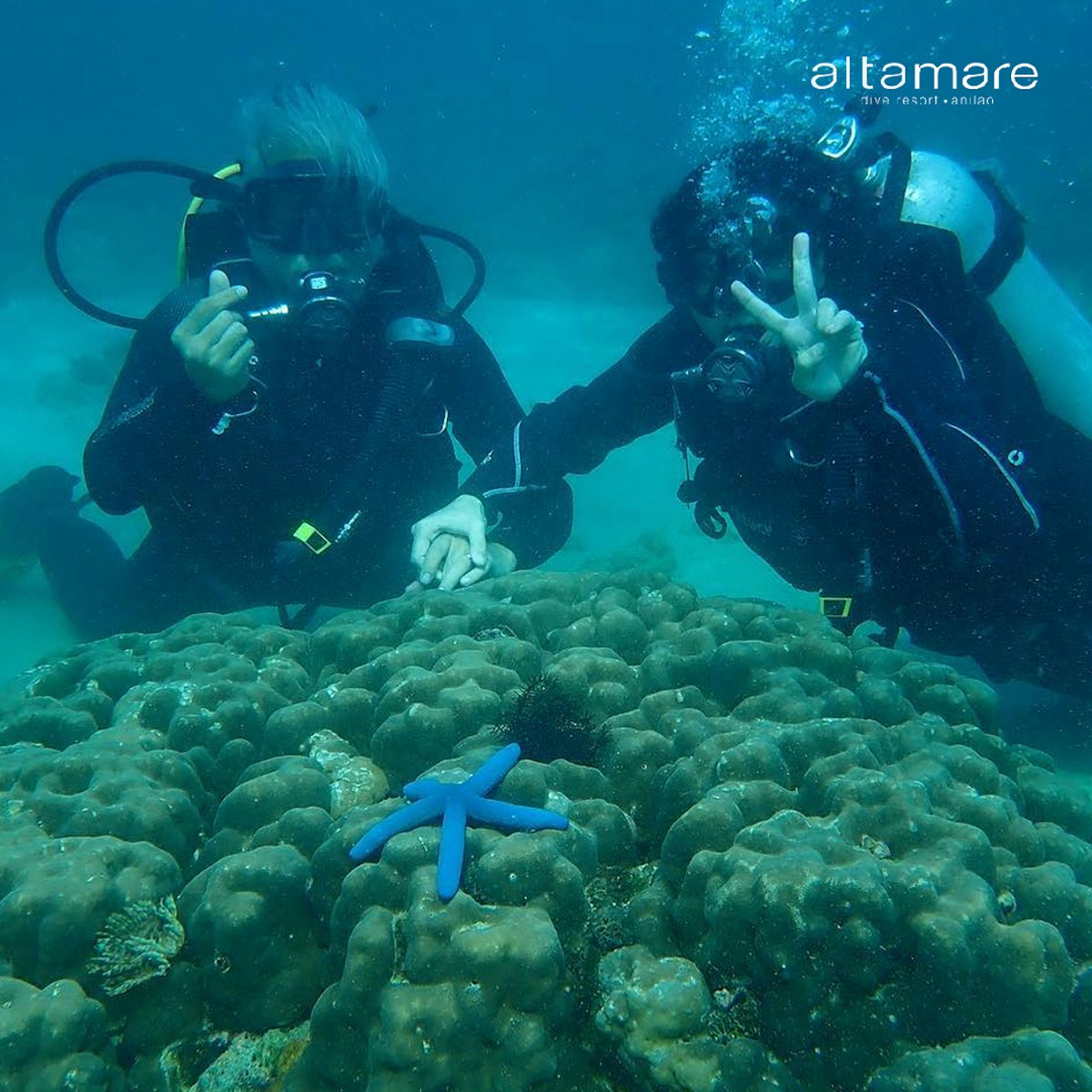 2-Day Exciting Scuba Diving Package to Anilao Batangas with Altamare ...