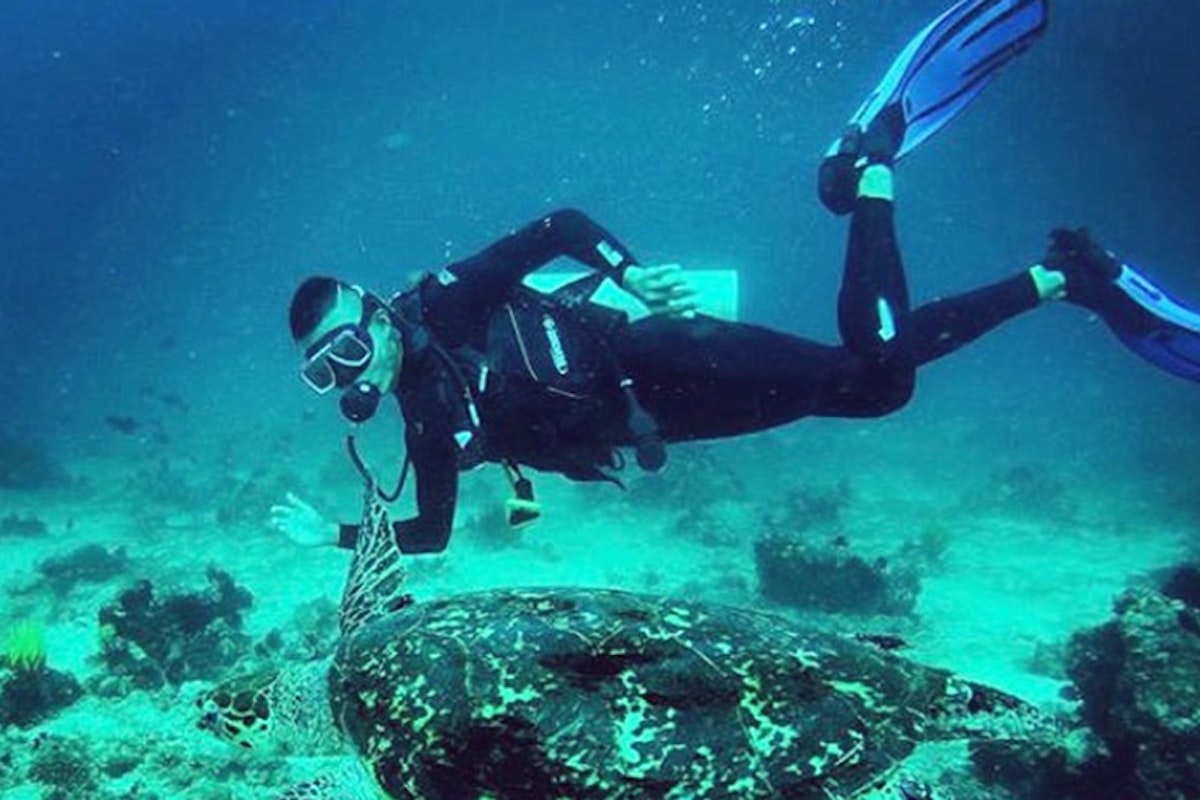 2-Day Exciting Scuba Diving Package to Anilao Batangas with Altamare ...