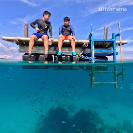 2-Day Enriching Introductory Dive Package to Anilao Batangas with Altamare Dive & Leisure Resort - day 1