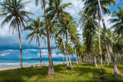 10-Day Epic Sightseeing & Island Hopping Philippines Tour Package to Manila, Palawan & Siargao - day 4