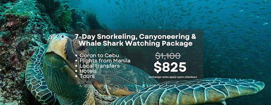 Exciting 7-Day Snorkeling, Canyoneering & Whale Shark Watching Tour to Coron and Cebu From Manila