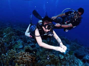 Fun 5-Day Diving Package with Dakak Resort in Dapitan Zamboanga del Norte with Airfare & Transfers - day 3