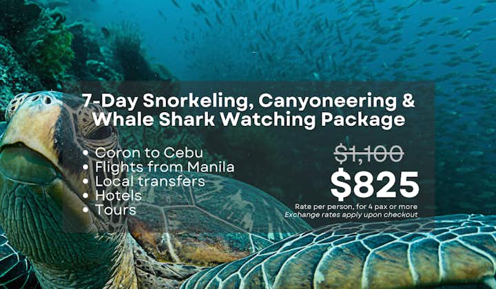 Exciting 7-Day Snorkeling, Canyoneering & Whale Shark Watching Tour to Coron and Cebu From Manila