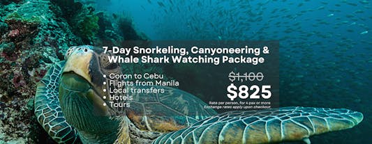 Exciting 7-Day Snorkeling & Whale Shark Watching Tour Package to Coron and Cebu From Manila