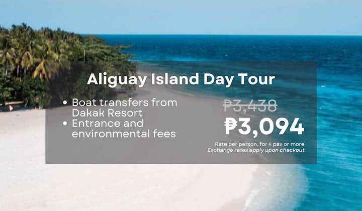 Aliguay Island Zamboanga del Norte Day Tour with Boat Transfers