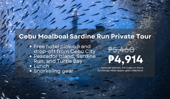 Cebu Moalboal Sardine Run, Pescador Island & Turtle Bay Tour with Lunch & Transfers from Cebu City
