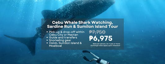 South Cebu Oslob Whale Shark Watching, Sardine Run & Sumilon Island Private Tour with Transfers