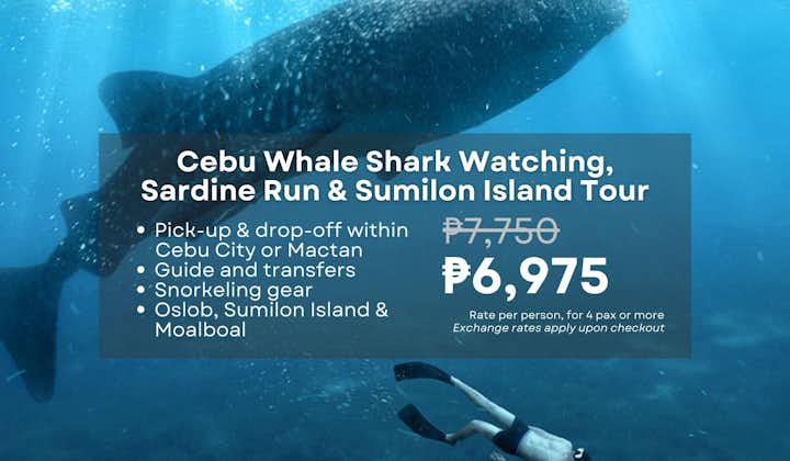 South Cebu Oslob Whale Shark Watching, Sardine Run & Sumilon Island Private Tour with Transfers