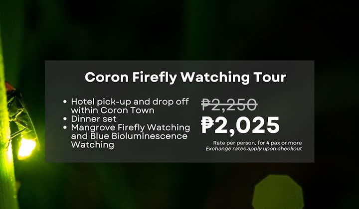 Palawan Coron Firefly Watching Walking Tour with Dinner & Transfers