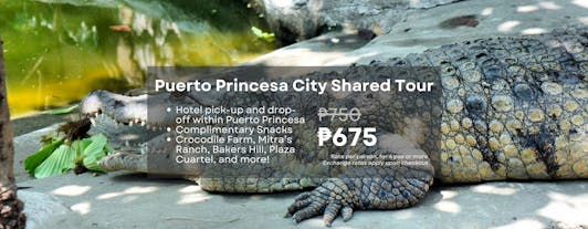 Puerto Princesa City Tour in Palawan with Snacks & Hotel Transfers | Mitra's Ranch, Crocodile Farm
