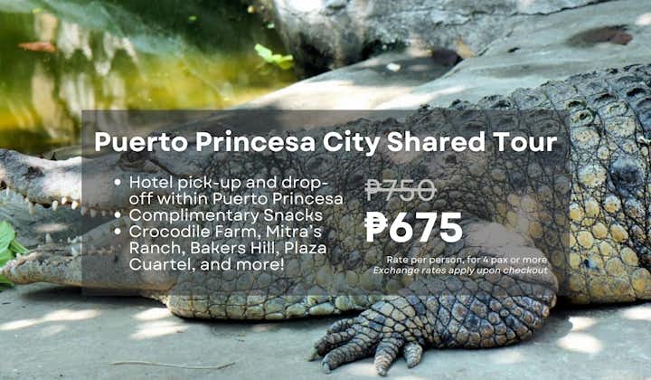 Puerto Princesa City Tour in Palawan with Snacks & Hotel Transfers | Mitra's Ranch, Crocodile Farm