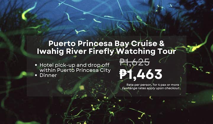 Palawan Puerto Princesa Bay Cruise & Iwahig River Firefly Watching Tour with Dinner & Transfers
