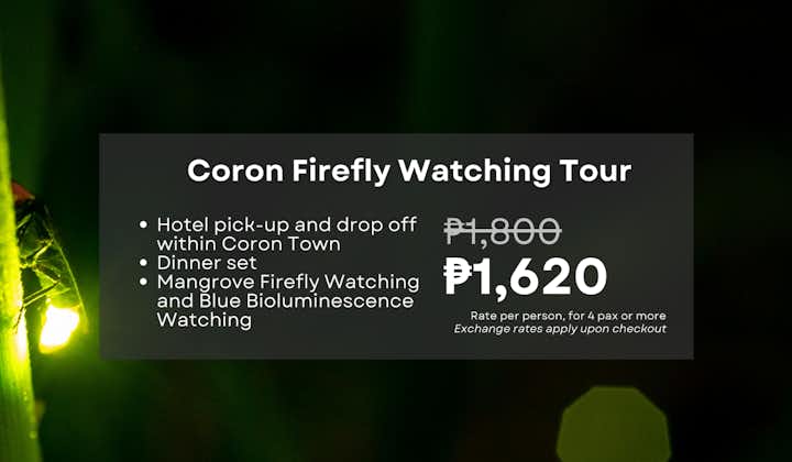 Palawan Coron Firefly Watching Walking Tour with Dinner & Transfers